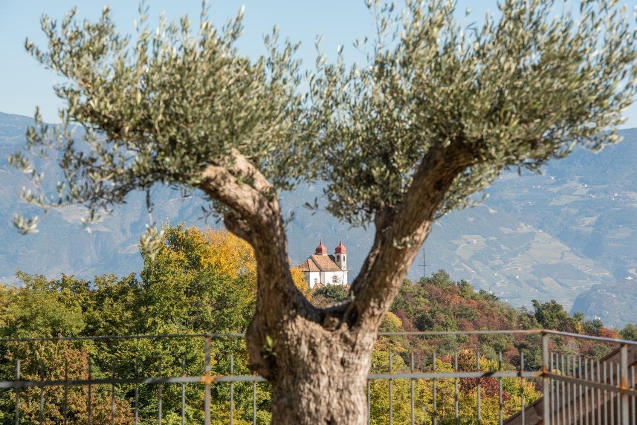 Apartament Nofnerhof Appiano Sulla Strada Del Vino Zewnętrze zdjęcie
