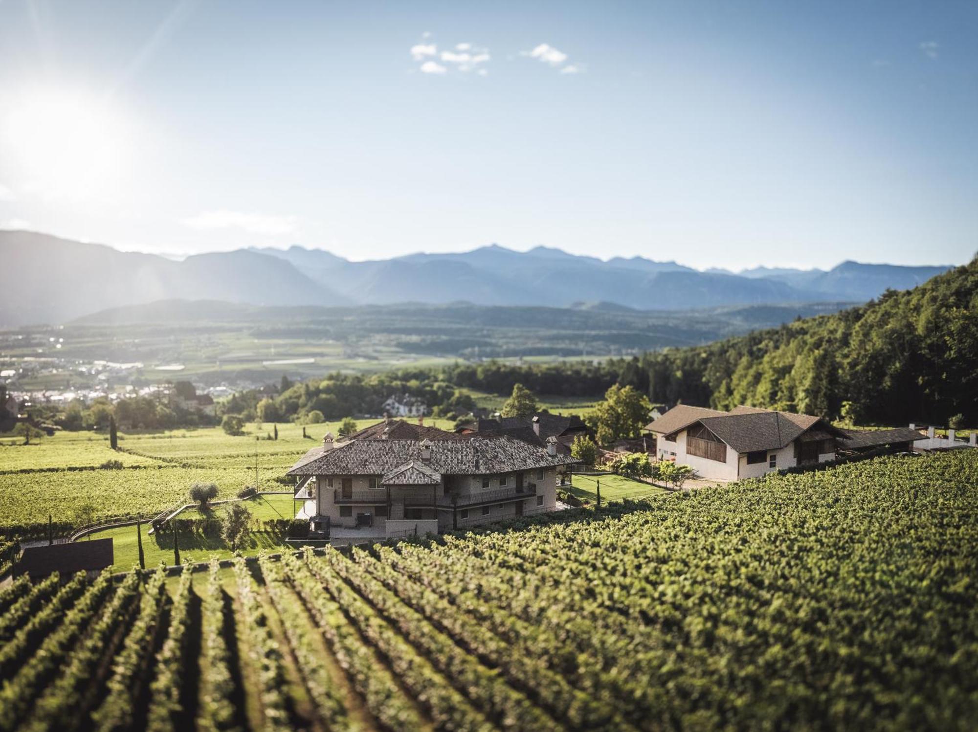 Apartament Nofnerhof Appiano Sulla Strada Del Vino Zewnętrze zdjęcie