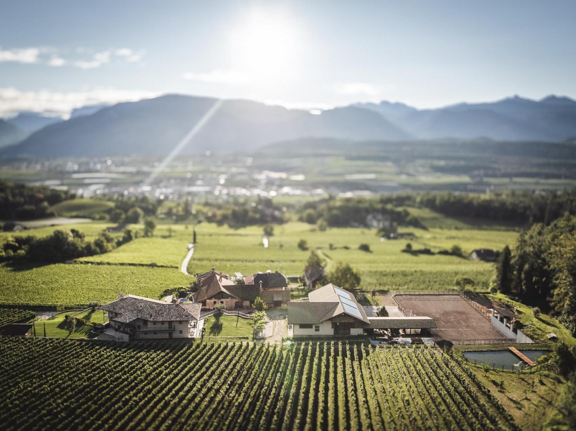 Apartament Nofnerhof Appiano Sulla Strada Del Vino Zewnętrze zdjęcie