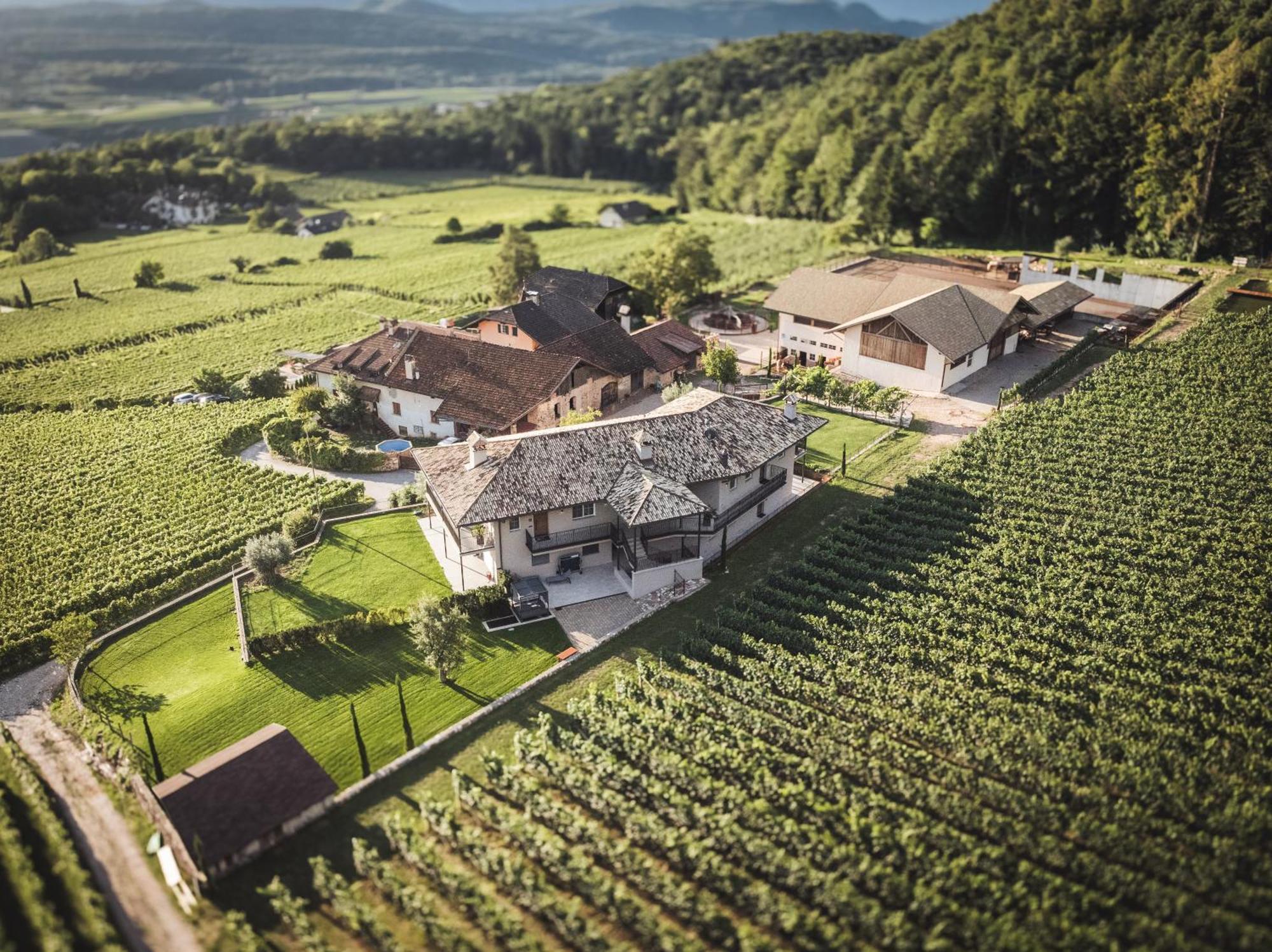 Apartament Nofnerhof Appiano Sulla Strada Del Vino Zewnętrze zdjęcie