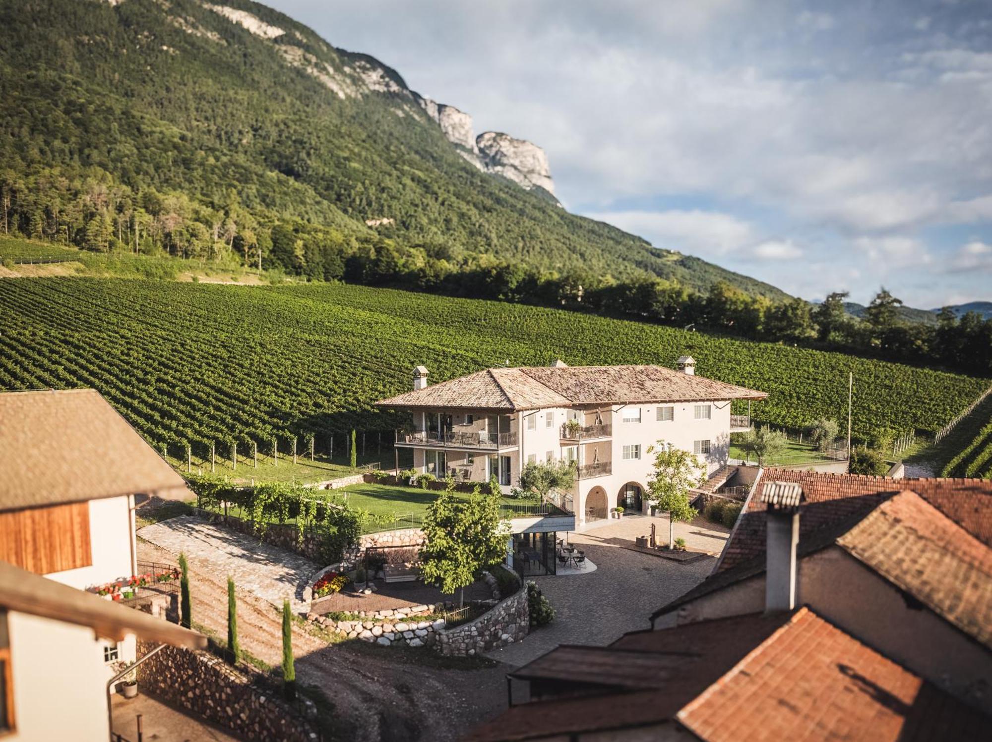 Apartament Nofnerhof Appiano Sulla Strada Del Vino Zewnętrze zdjęcie